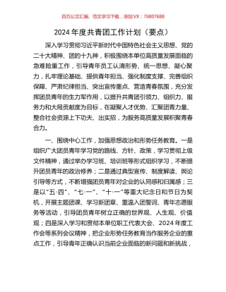 2024年度共青团工作计划（要点）.docx
