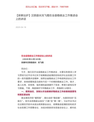 汉阴县长刘飞霞在全县稳就业工作推进会上的讲话.docx