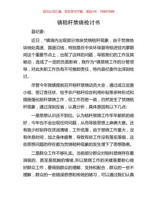 镇秸秆禁烧检讨书.docx