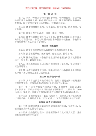 高校团的各项经费预算、审核和管理工作制度 （试行）.docx