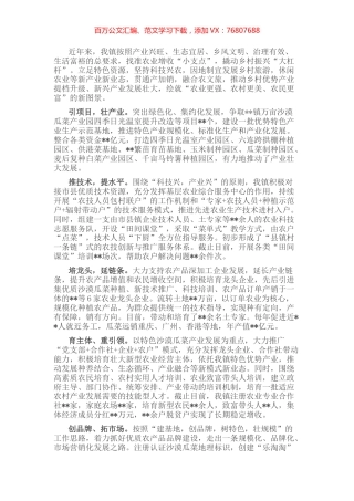 某镇农业产业化经验材料.docx
