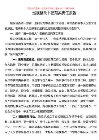 巡视整改书记落实责任报告.docx