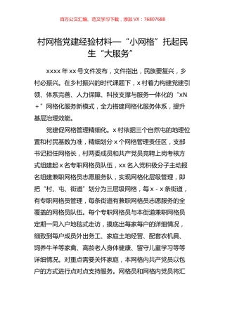 村网格党建经验材料—“小网格”托起民生“大服务”.docx