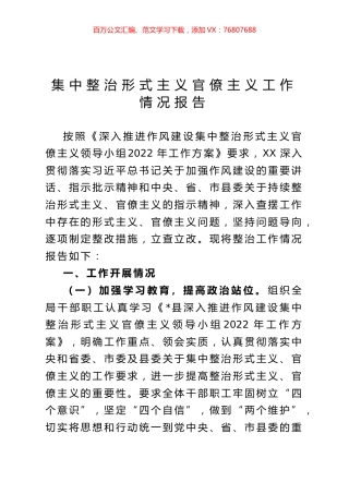 集中整治形式主义官僚主义工作情况报告.docx