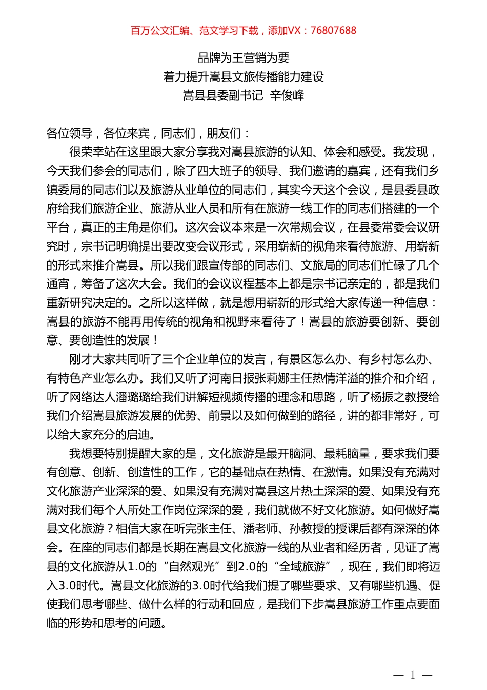 嵩县县委副书记辛俊峰：着力提升嵩县文旅传播能力建设：品牌为王营销为要.doc_第1页