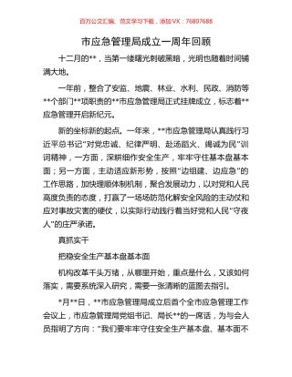 市应急管理局成立一周年回顾.docx