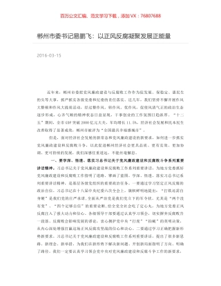 郴州市委书记易鹏飞：以正风反腐凝聚发展正能量.docx