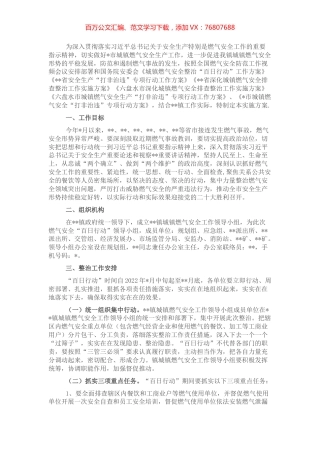 城镇燃气安全整治“百日行动”实施方案 (2).docx