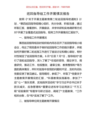 巡回指导组工作开展情况报告.docx