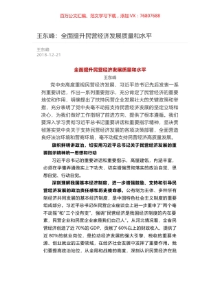 王东峰：全面提升民营经济发展质量和水平.docx