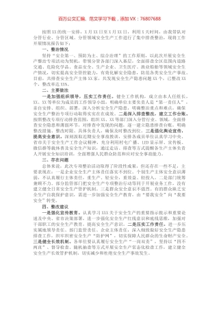 安全生产整治专项行动报告.docx
