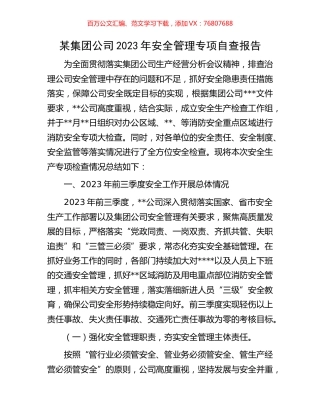 某集团公司2023年安全管理专项自查报告.docx