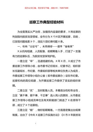 巡察工作典型经验材料.docx
