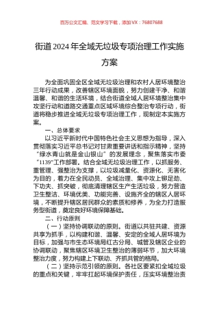 街道2024年全域无垃圾专项治理工作实施方案.docx