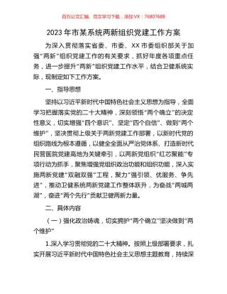 2023年市某系统两新组织党建工作方案.docx