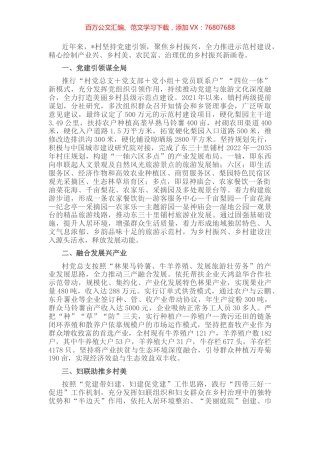党建引领乡村振兴发展材料.docx