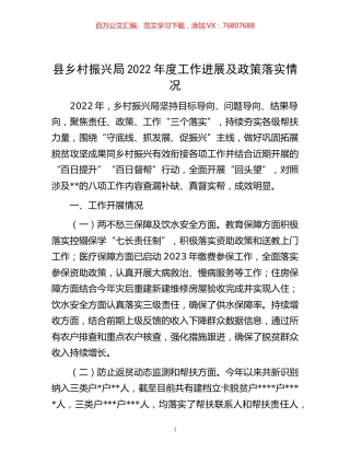 -县乡村振兴局2022年度工作进展及政策落实情况.docx