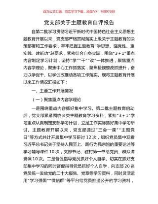 党支部关于主题教育自评报告.docx