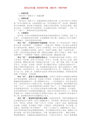 党建品牌创建工作材料：阳光审计 发展卫士（区审计局）.docx