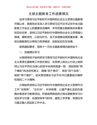 支部主题教育工作进展情况.docx
