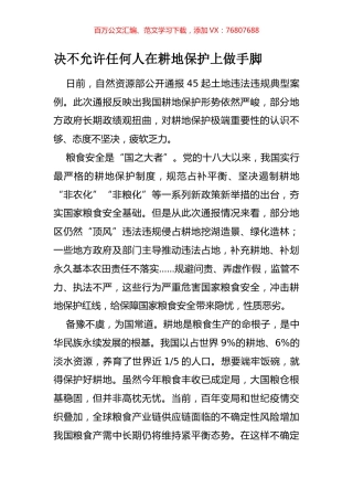 决不允许任何人在耕地保护上做手脚.docx