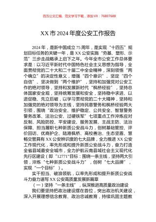 XX市2024年度公安工作报告.docx