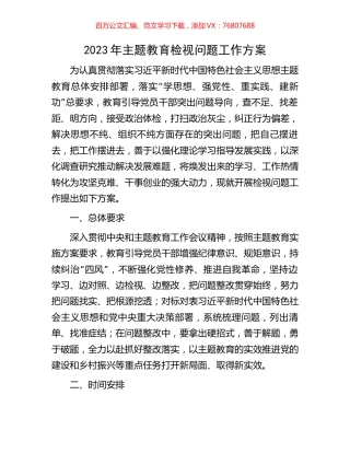 2023年主题教育检视问题工作方案.docx