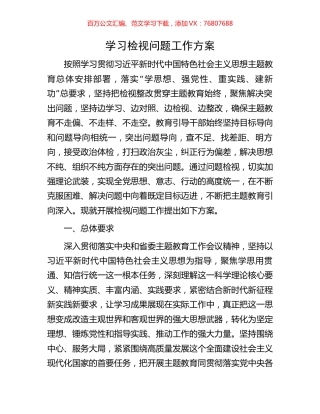 学习检视问题工作方案.docx