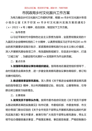 市民政局乡村文化振兴工作方案.docx