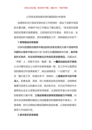 公司党支部巡察反馈问题原因分析报告.docx