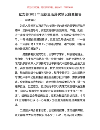 党支部2023年组织生活落实情况自查报告.docx