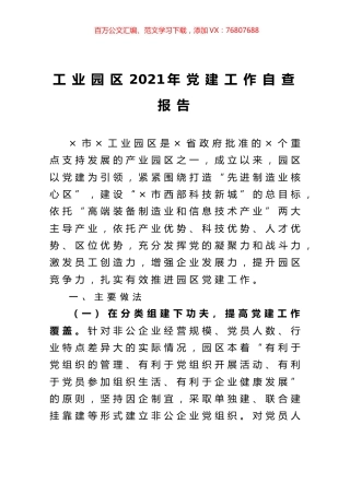 工业园区2021年党建工作自查报告.docx
