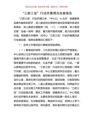 “三抓三促”行动开展情况自查报告.docx