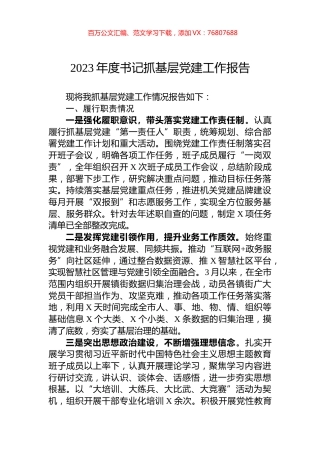 2023年度书记抓基层党建工作报告.docx