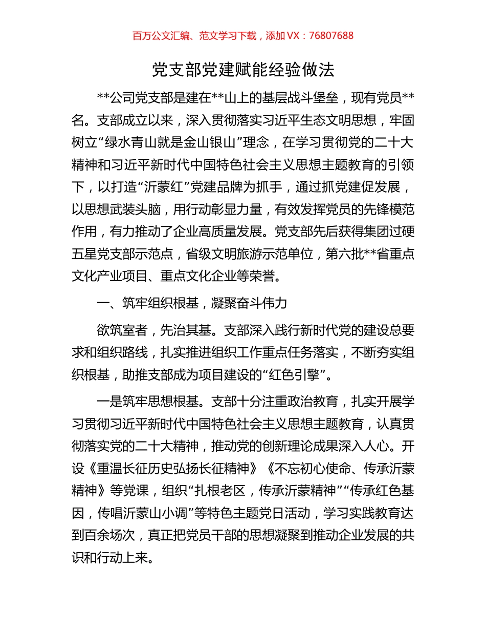 党支部党建赋能经验做法.docx_第1页