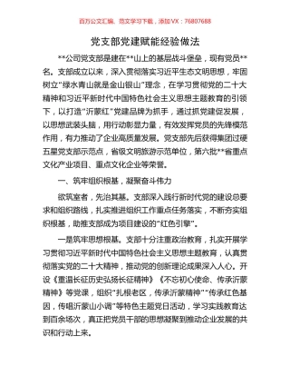 党支部党建赋能经验做法.docx