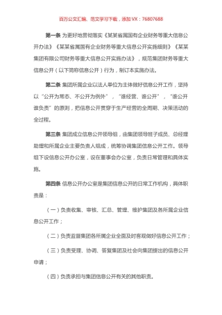 某某有限责任公司财务等重大信息公开实施办法（2022版）.docx