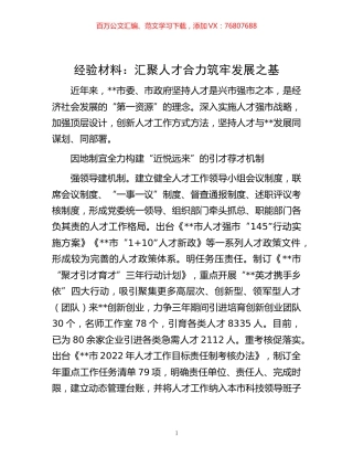 -材料：汇聚人才合力 筑牢发展之基.docx