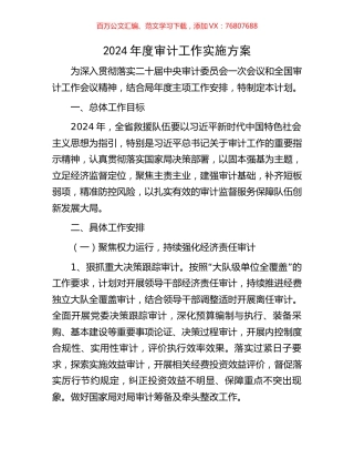 2024年度审计工作实施方案.docx