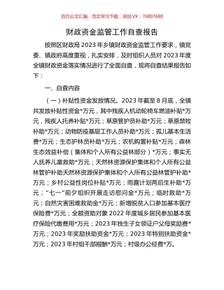 财政资金监管工作自查报告.docx