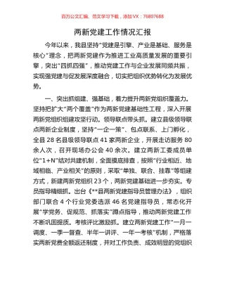 两新党建工作情况汇报.docx