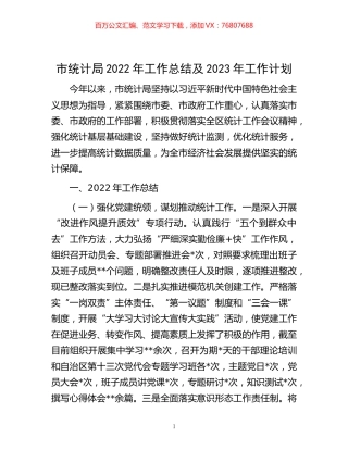-市统计局2022年工作总结及2023年工作计划.docx