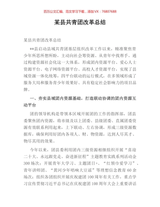 某县共青团改革总结.docx