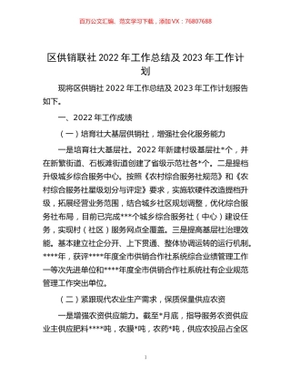 -区供销联社2022年工作总结及2023年工作计划.docx