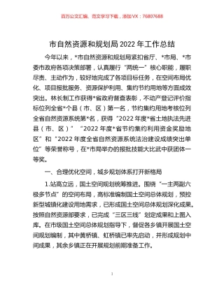 -市自然资源和规划局2022年工作总结.docx