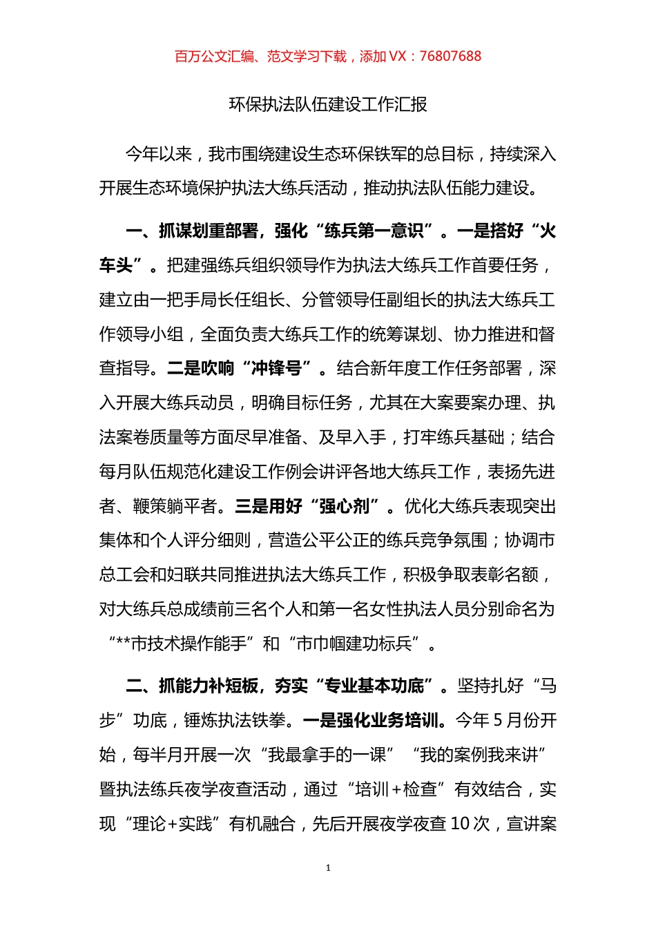 环保执法队伍建设工作汇报.docx_第1页