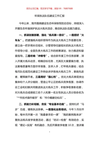 环保执法队伍建设工作汇报.docx