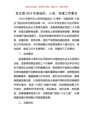 党支部2024年度组织、人资、党建工作要点.docx