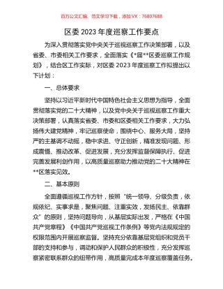 区委2023年度巡察工作要点.docx