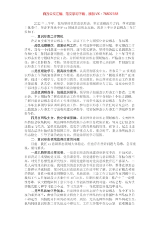 区局上半年意识形态工作总结.docx
